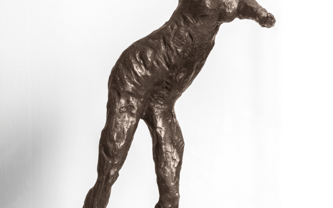 Figura in movimento